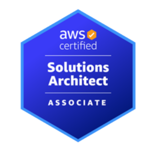 solutions architect